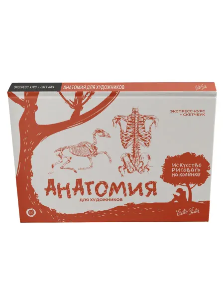 Издательство АСТ Анатомия для художников. Экспресс-курс + скетчбук
