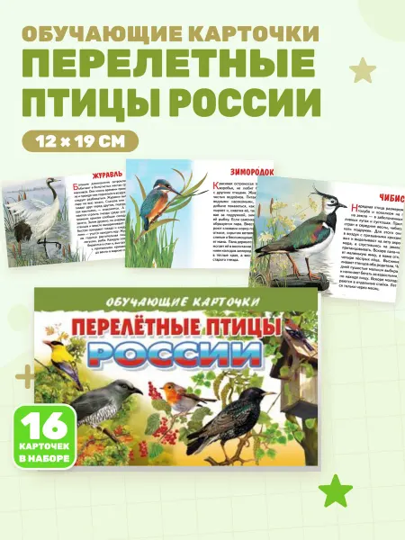 Перелетные птицы России (Обучающие карточки)