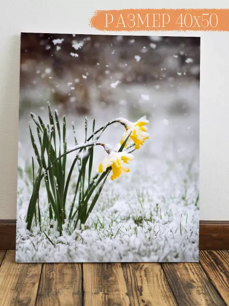 Интерьерная картина Аниме Картина Нарциссы 50x40