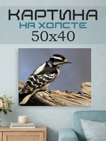ПринтСтори Картина на стену 50x40 Дятел