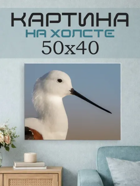 ПринтСтори Картина на стену 50x40 Птица
