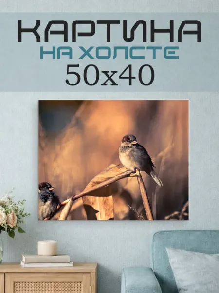 ПринтСтори Картина на стену 50x40 Птицы