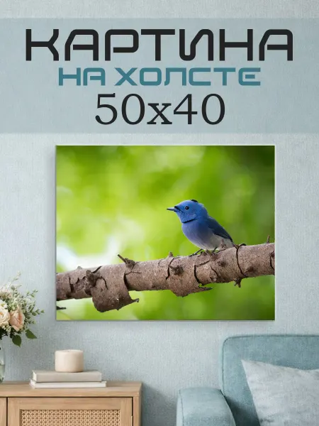 ПринтСтори Картина на стену 50x40 Птичка