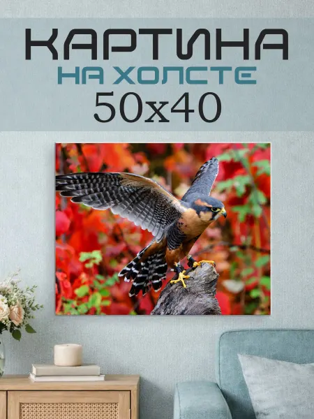 ПринтСтори Картина на стену 50x40 Сокол