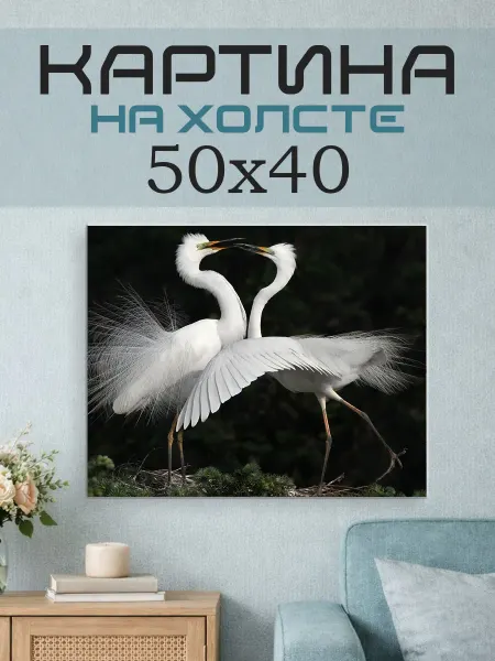 ПринтСтори Картина на стену 50x40 Цапли