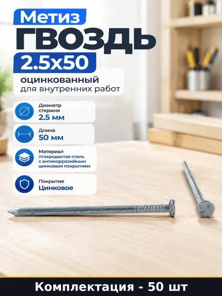 Метиз гвоздь 2.5х50 оцинкованный для внутренних работ, 50шт