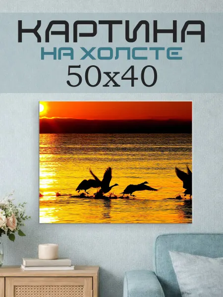 ПринтСтори Картина на стену 50x40 Птицы на закате