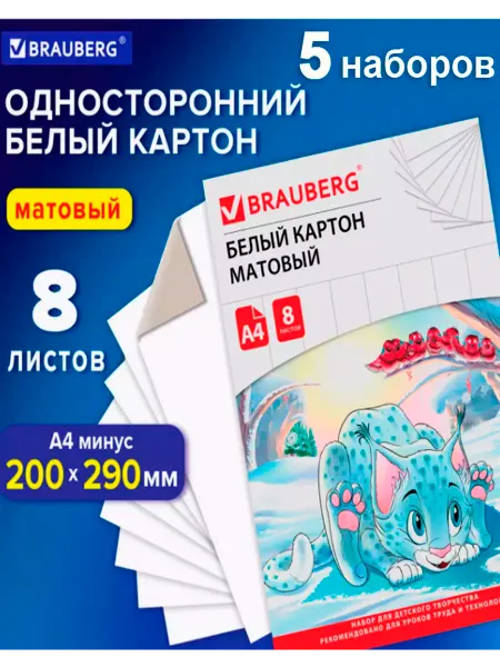 Brauberg Картон белый А4 8 листов 5 наборов