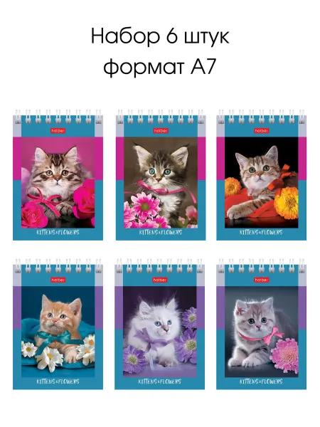 Hatber Набор мини блокнотов Пушистые котята 6 шт