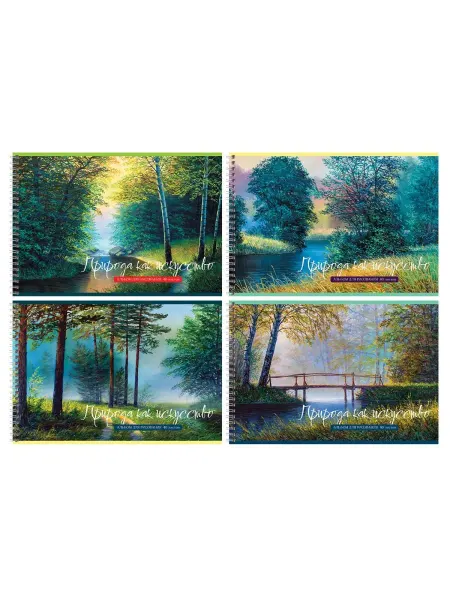 Альбом для рисования 40л Природа 10896 BG гребень 4шт