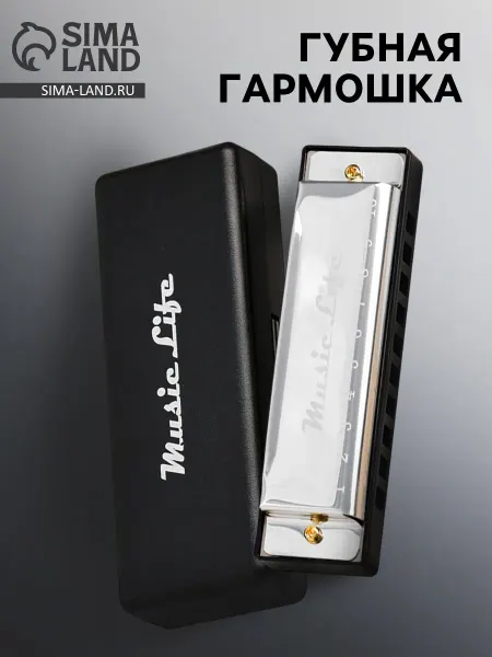 -Мир Игр- Губная гармошка диатоническая C-major с футляром