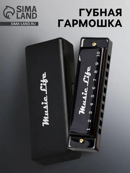 Лесной Дом - гипермаркет товаров для дома Губная гармошка диатоническая C-major черная с футляром