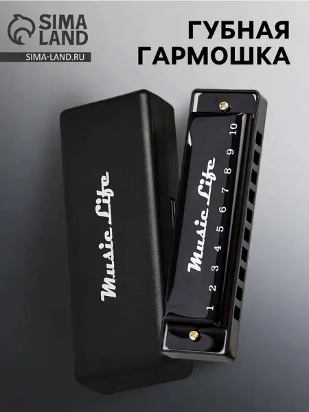 Компактная диатоническая гармошка в черном цвете