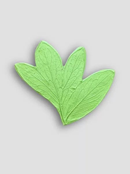 ArtFly Молд для листа пиона