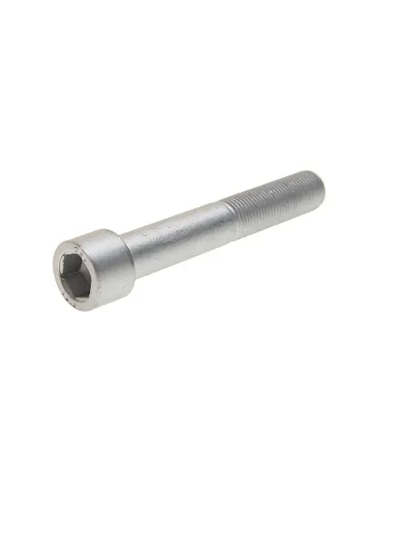 SAMPA Болт BPW TSB3709 направляющей суппорта (M16x1.5х100мм) SAMP