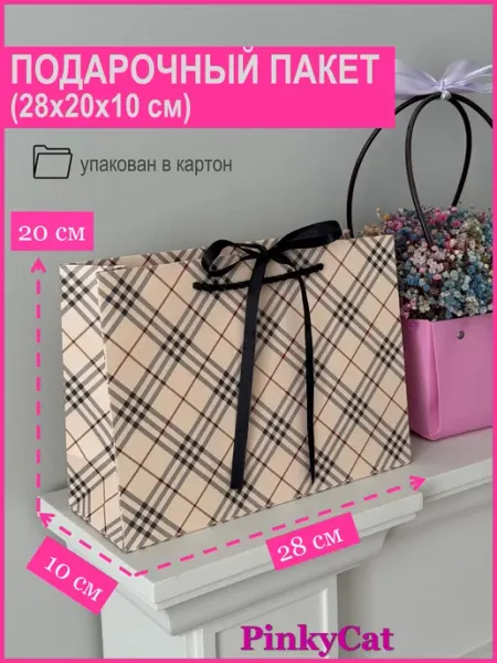 PinkyCat Упаковка Пакет подарочный в клетку (28х20х10 см)