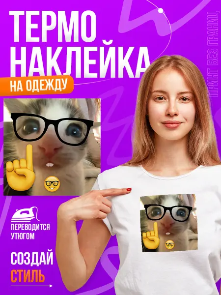 Принт БЕЗ ГРАНИЦ Термонаклейка, на одежду мем Кот