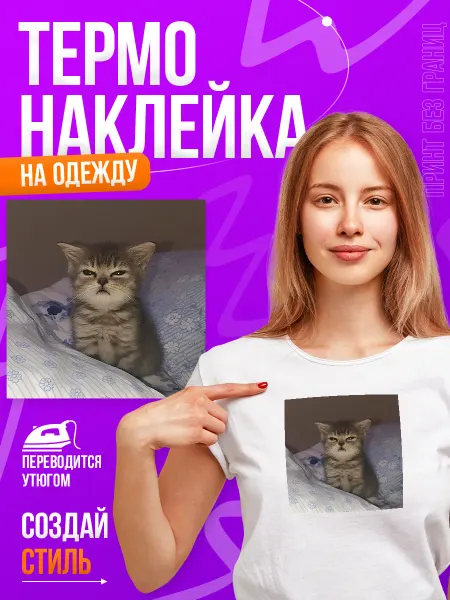 Принт БЕЗ ГРАНИЦ Термонаклейка, на одежду Мем котик