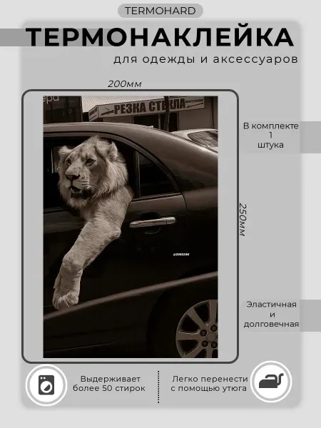 TERMOHARD Термонаклейка на одежду