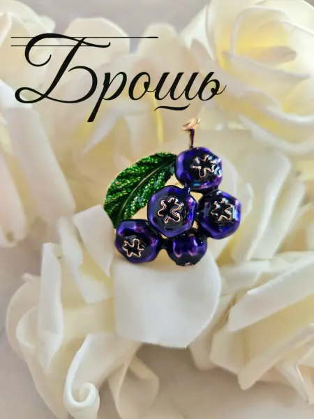 Raida Blaut Брошь оригинальная черника