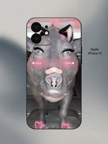 PANCASE Чехол на iPhone 12 прикольный