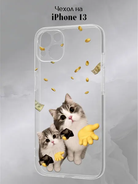Slow Hold Чехол на iPhone 13 смешной