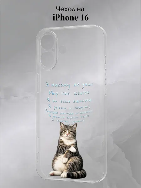 Slow Hold Чехол на iPhone 16 смешной
