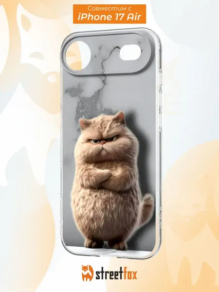 Street Fox Чехол на iPhone 17 Air с принтом Котик
