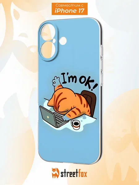 Street Fox Чехол на iPhone 17 с принтом Котик