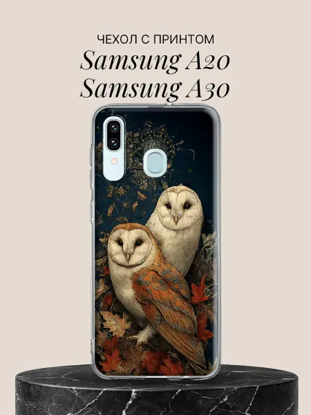 Samsung Чехол на A20 A30 Две совы в осеннем узоре
