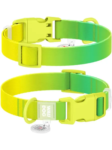 Waudog Ошейник Nylon Recycled, XL (25мм(37-58см)), салатовый