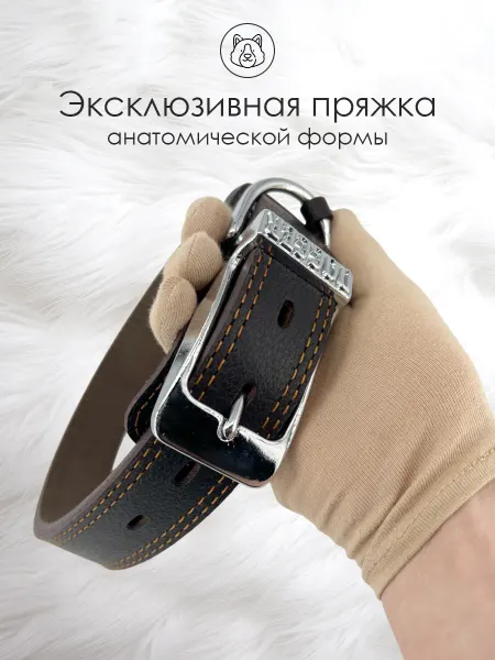 Dog collar Кожаный ошейник с усиленной пряжкой для крупных собак 35 мм