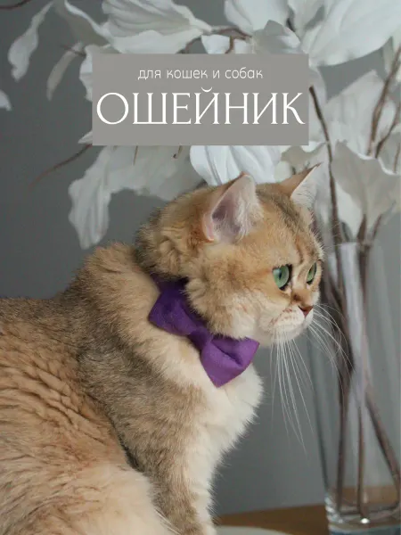 ARR Ошейник с мягким бантиком для кошек и собак, фиолетовый