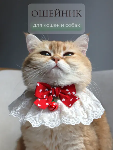 ARR Кружевной ошейник с цветком и бантом для кошек и собак, крас…