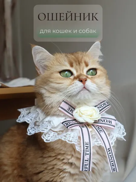 ARR Кружевной ошейник с цветком и бантом для кошек и собак, розо…