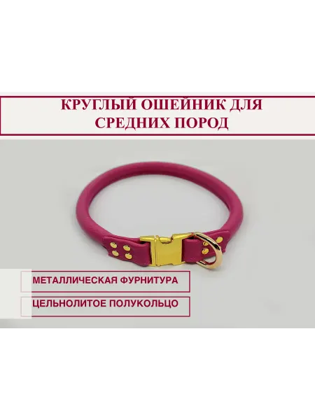 Astarta dog Ошейник кожаный для собак крупных пород