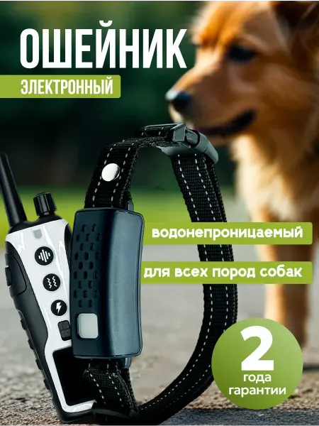 CollarsDepot Электроошейник для дрессировки с пультом