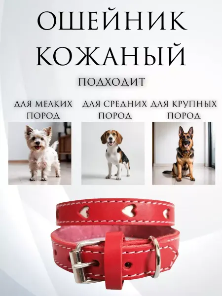 CollarsDepot Ошейник кожаный для собак
