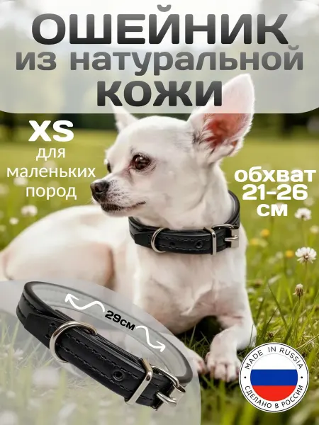 LuckyDog Ошейник для маленьких собак из натуральной кожи