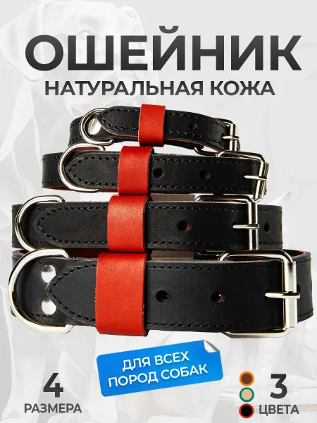 АРКОН Ошейник кожаный двухслойный
