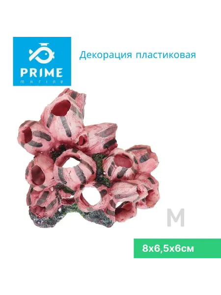 Prime Zoo Декорация для аквариума Балянус М 8х6,5х6см
