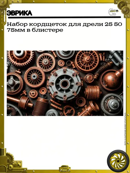 ЭВРИКА Набор кордщеток для дрели 25 50 75мм в блистере