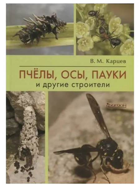 Фитон XXI Пчёлы, осы, пауки и другие строители