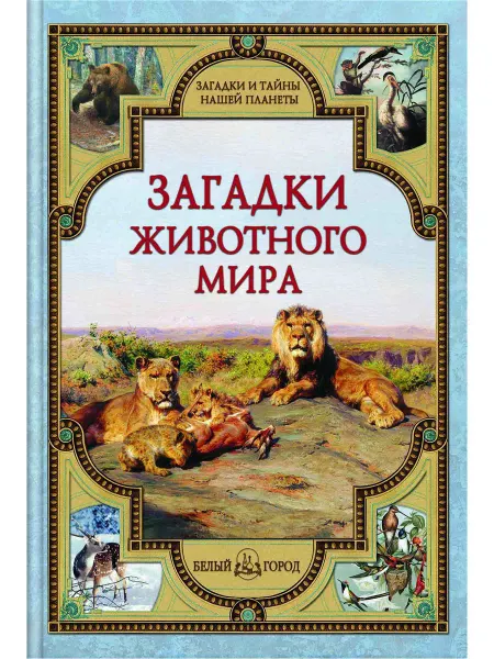 Белый Город / Воскресный день Загадки животного мира
