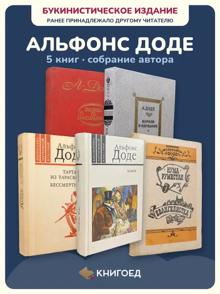 Книгоед Доде рассказы 5 книг исторические романы букинистика