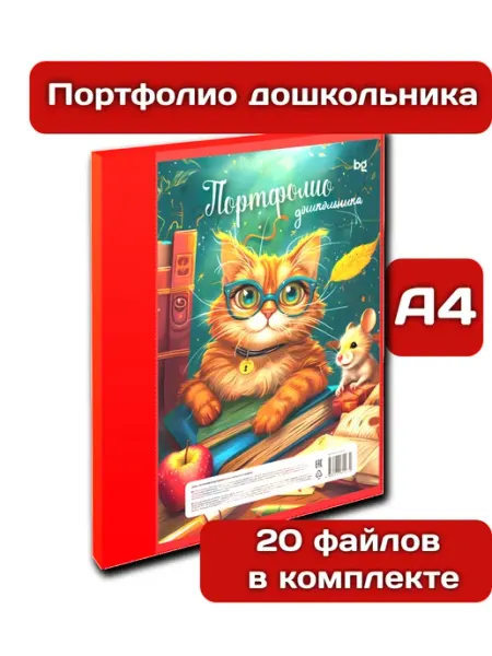 BG Папка для портфолио пластиковая, 20 файлов в комплекте