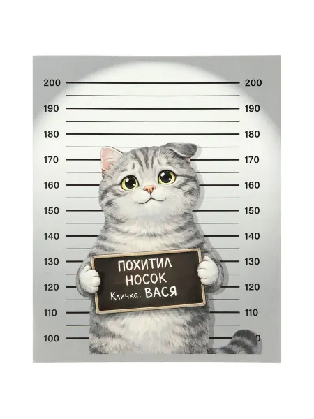 Тетрадь 48 листов в клетку Кот похитил носок