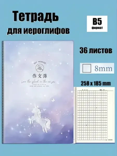 IM&SM Тетрадь для записи иероглифов В5