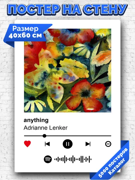 Arthata-spotify постер Спотифай постер Спотифай плакат Adrianne Lenker - anything 40х60