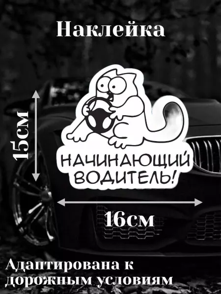 AutoHoldGoods Наклейка начинающий водитель кот